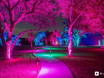 Haven Bradenton Hires 3638 Min