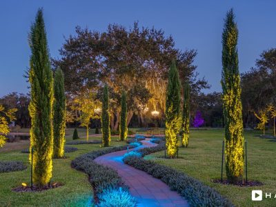 Haven Orlando Hires 284 Min