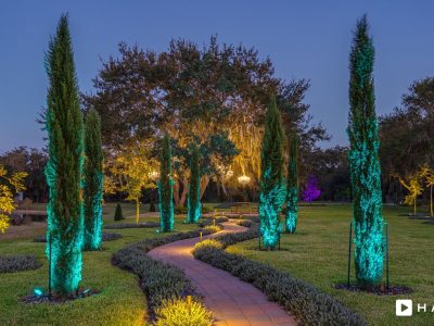Haven Orlando Hires 390 Min