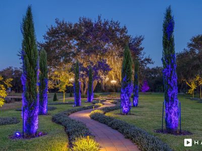 Haven Orlando Hires 491 Min