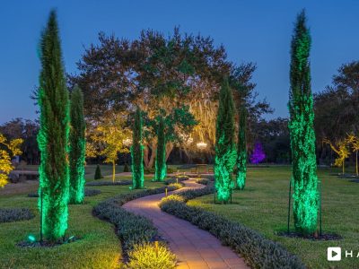 Haven Orlando Hires 592 Min