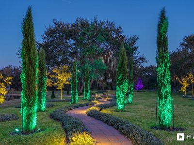 Haven Orlando Hires 693 Min