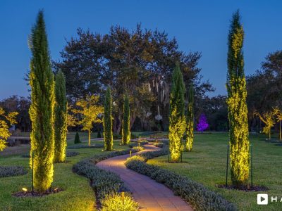 Haven Orlando Hires 794 Min